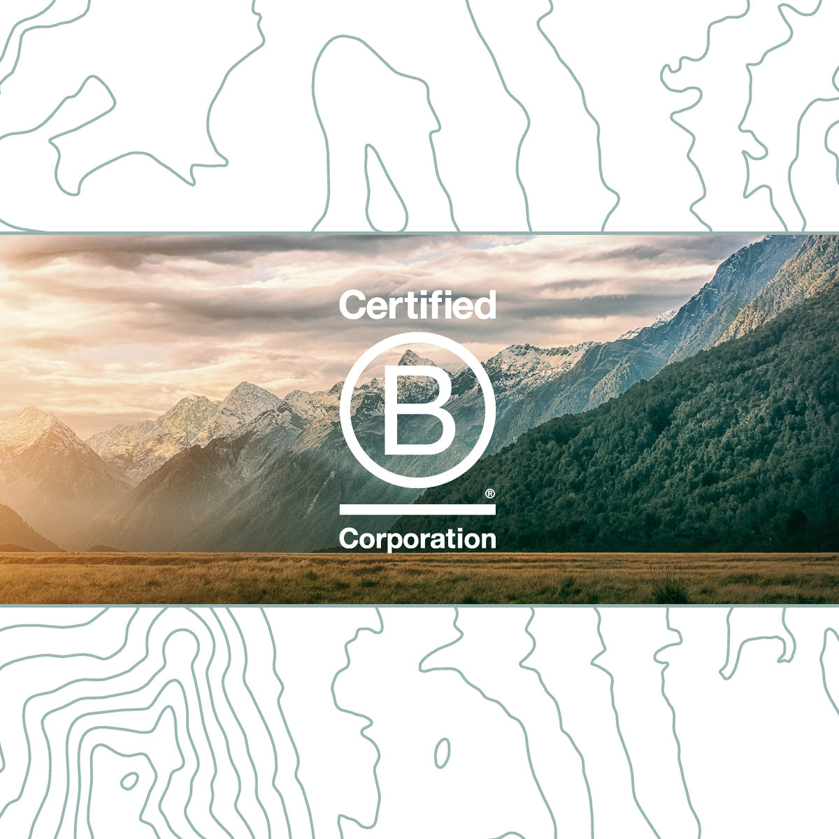 Turtle Fur Announces B Corp Certification