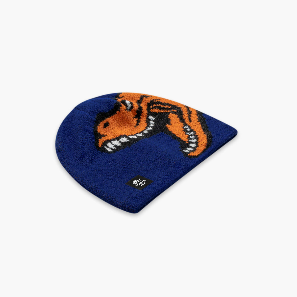 Kids Rawzy Beanie / Color-Royal