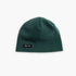 Chelonia 150 Fleece Beanie / Color-Forest