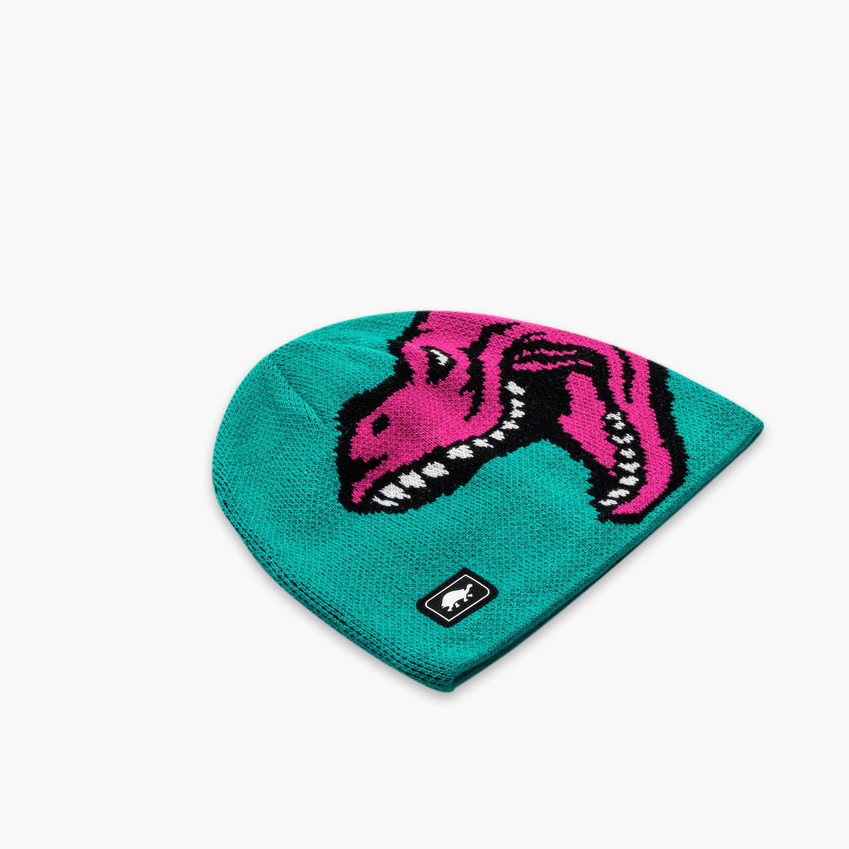 Kids Rawzy Beanie / Color-Teal