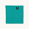 Chelonia 150 Fleece Neck Warmer / Color-Alpine Teal